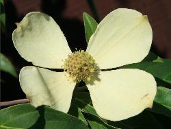 Image: Trevor James © Trevor James 